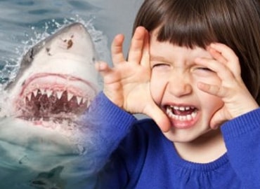 The Not-So-Sharking Truth about Shark Teeth